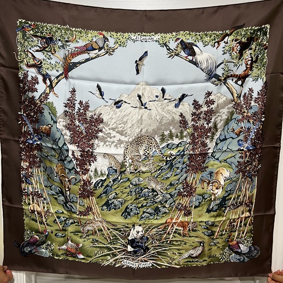Hermes Silk Scarf  New - Picture 5 of 6